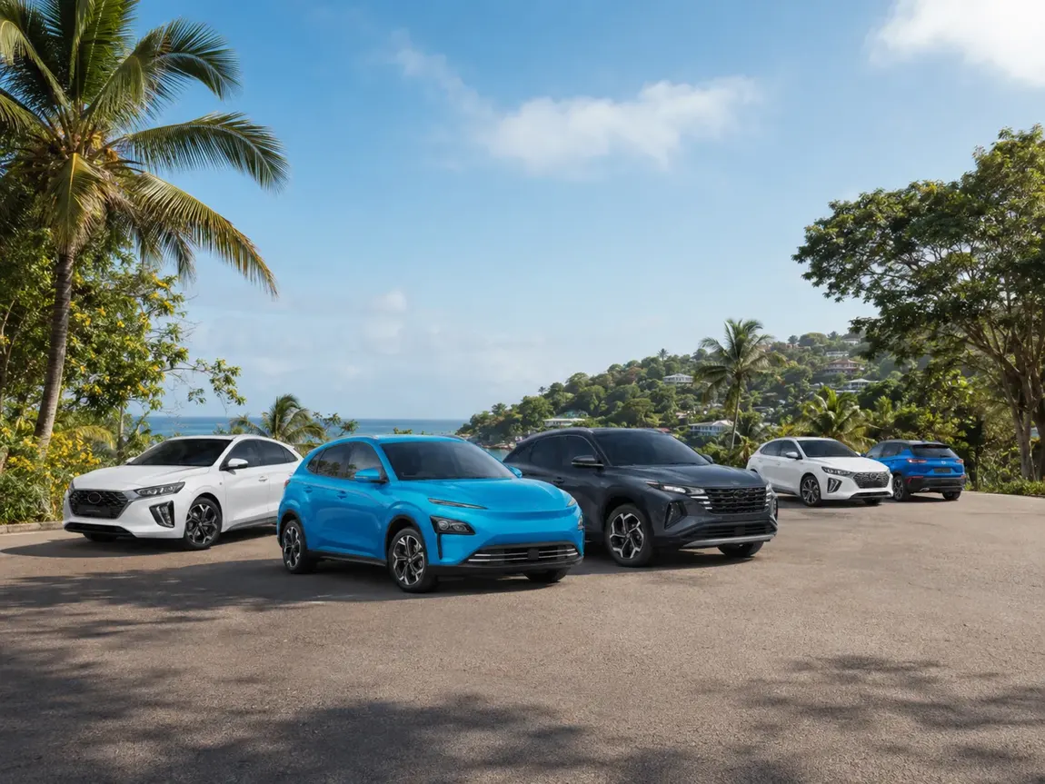 Motorisations Hyundai pour entreprises