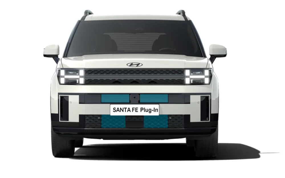 Hyundai Santa Fe - Vue arrière